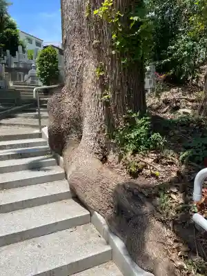 浄土宗 光明山 大蓮寺(照曜会館)(神奈川県)