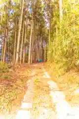 山神社(宮城県)