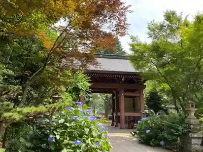 大宝八幡宮(茨城県)