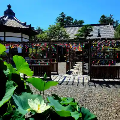 秋葉總本殿可睡斎(静岡県)