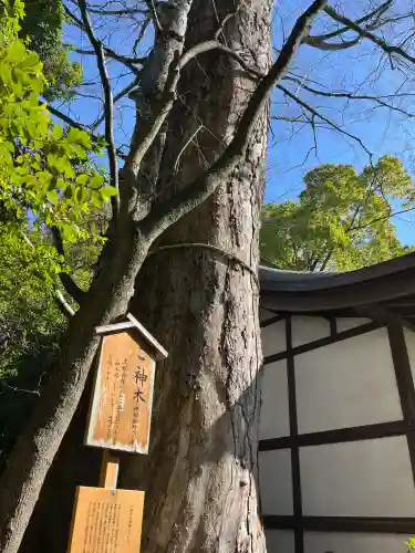 川越氷川神社の{uncategorized: "未分類", other: "その他", undefined: "問題あり", building: "その他建物", grave: "お墓", sacred_gate: "鳥居", guardian: "狛犬", statue: "像", buddha: "仏像", history: "歴史", nature: "自然", garden: "庭園", animal: "動物", pagoda: "塔", temizu: "手水舎", mountain_gate: "山門・神門", sanctuary: "本殿・本堂", subordinate: "末社・摂社", art: "芸術", scenery: "景色", jizo: "地蔵", ema: "絵馬", goshuin: "御朱印", omikuji: "おみくじ", items: "授与品その他", amulet: "お守り", goshuincho: "御朱印帳", eats: "食事", festival: "お祭り", votive_dance: "神楽", shichigosan: "七五三参", wedding: "結婚式", experience: "体験その他", initially: "初詣", around: "周辺", anti_infection: "感染症対策"}