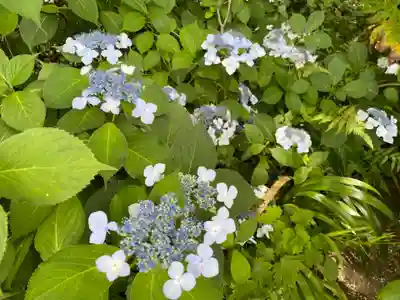 詩仙堂(丈山寺)(京都府)