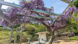 金蛇水神社(宮城県)(2023年05月06日(土) 11時37分49秒投稿)