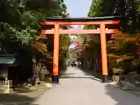 霧島神宮(鹿児島県)