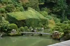 根来寺 智積院の庭園