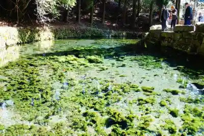 白川吉見神社(熊本県)