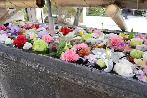 鳩森八幡神社(東京都)
