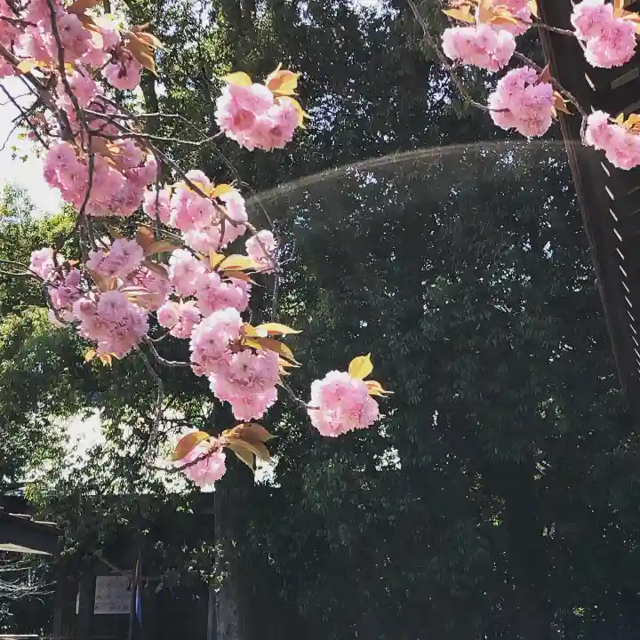 鹿島台神社の自然