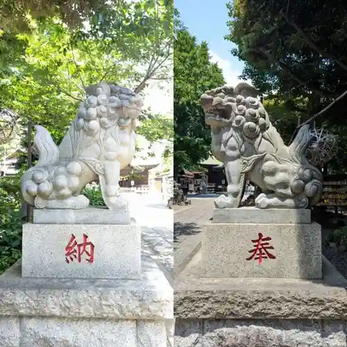 菊田神社の狛犬