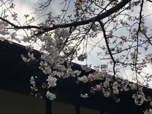 東伏見稲荷神社の自然