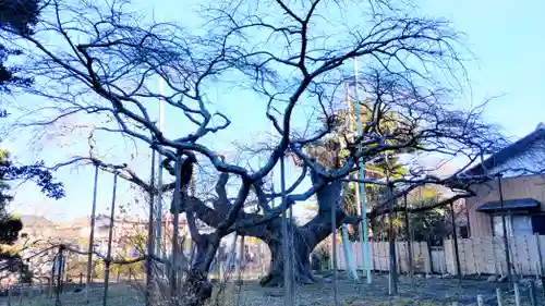 般若院(茨城県)