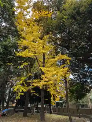 伊多波刀神社(愛知県)