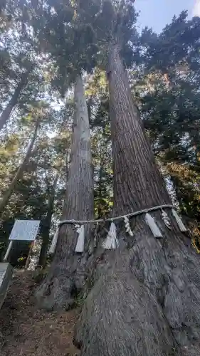 磯山神社の{uncategorized: "未分類", other: "その他", undefined: "問題あり", building: "その他建物", grave: "お墓", sacred_gate: "鳥居", guardian: "狛犬", statue: "像", buddha: "仏像", history: "歴史", nature: "自然", garden: "庭園", animal: "動物", pagoda: "塔", temizu: "手水舎", mountain_gate: "山門・神門", sanctuary: "本殿・本堂", subordinate: "末社・摂社", art: "芸術", scenery: "景色", jizo: "地蔵", ema: "絵馬", goshuin: "御朱印", omikuji: "おみくじ", items: "授与品その他", amulet: "お守り", goshuincho: "御朱印帳", eats: "食事", festival: "お祭り", votive_dance: "神楽", shichigosan: "七五三参", wedding: "結婚式", experience: "体験その他", initially: "初詣", around: "周辺", anti_infection: "感染症対策"}