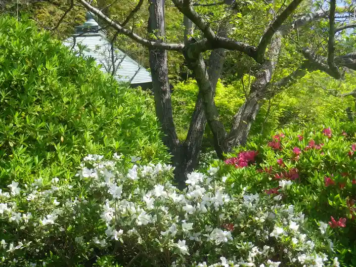 浄光明寺の自然