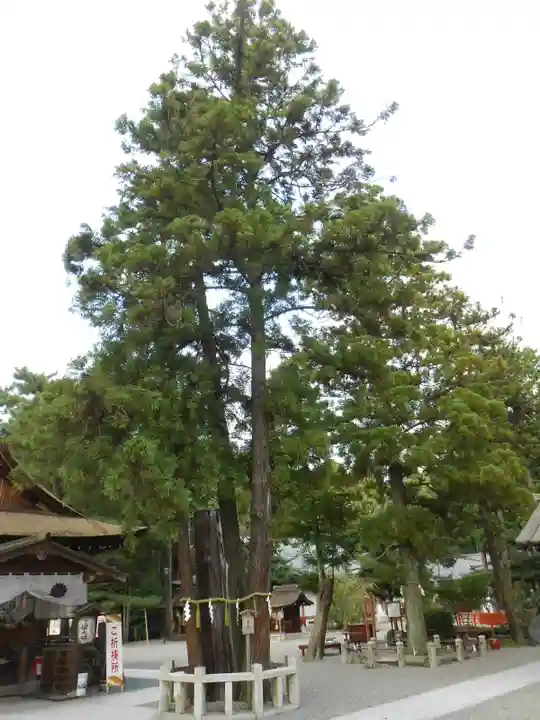 建部大社(滋賀県)