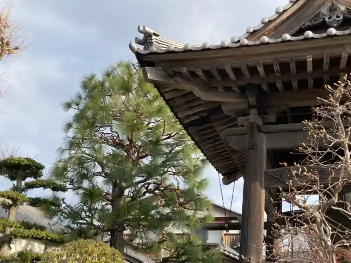 善福寺の建物その他