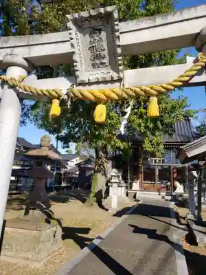 白山姫神社の鳥居