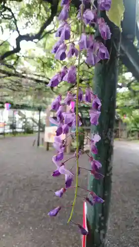 國領神社の自然