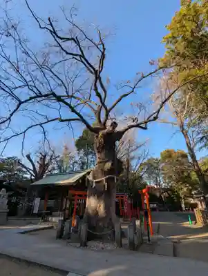 新田神社(東京都)