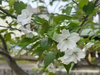 大宮神社の{uncategorized: "未分類", other: "その他", undefined: "問題あり", building: "その他建物", grave: "お墓", sacred_gate: "鳥居", guardian: "狛犬", statue: "像", buddha: "仏像", history: "歴史", nature: "自然", garden: "庭園", animal: "動物", pagoda: "塔", temizu: "手水舎", mountain_gate: "山門・神門", sanctuary: "本殿・本堂", subordinate: "末社・摂社", art: "芸術", scenery: "景色", jizo: "地蔵", ema: "絵馬", goshuin: "御朱印", omikuji: "おみくじ", items: "授与品その他", amulet: "お守り", goshuincho: "御朱印帳", eats: "食事", festival: "お祭り", votive_dance: "神楽", shichigosan: "七五三参", wedding: "結婚式", experience: "体験その他", initially: "初詣", around: "周辺", anti_infection: "感染症対策"}