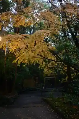 伊勢神宮内宮（皇大神宮）(三重県)