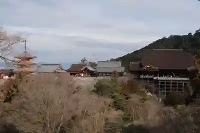 清水寺(京都府)