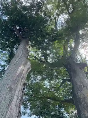 梅田神社(京都府)