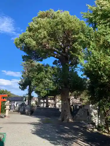 東漸寺(神奈川県)