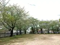 小垣江神明神社の自然