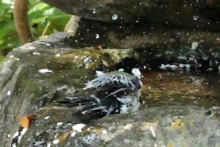 海龍王寺(奈良県)