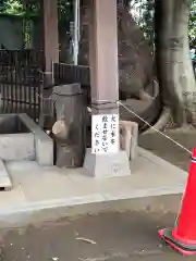 玉川神社の手水