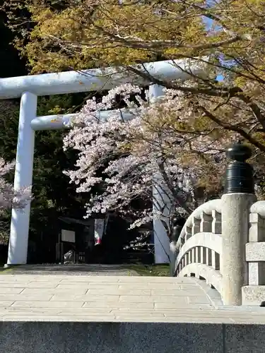 土津神社｜こどもと出世の神さまの鳥居