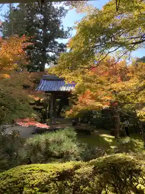 西明寺(京都府)