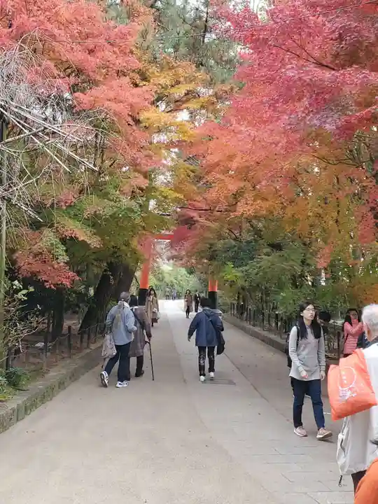 宇治上神社のその他建物