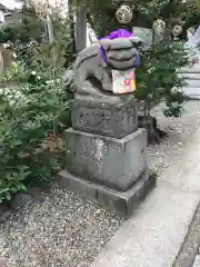 菊田神社の狛犬