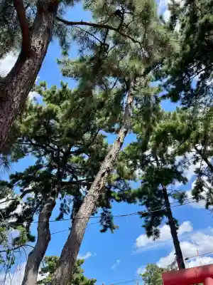 西千葉稲荷大明神(千葉県)