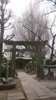 秋葉神社の鳥居