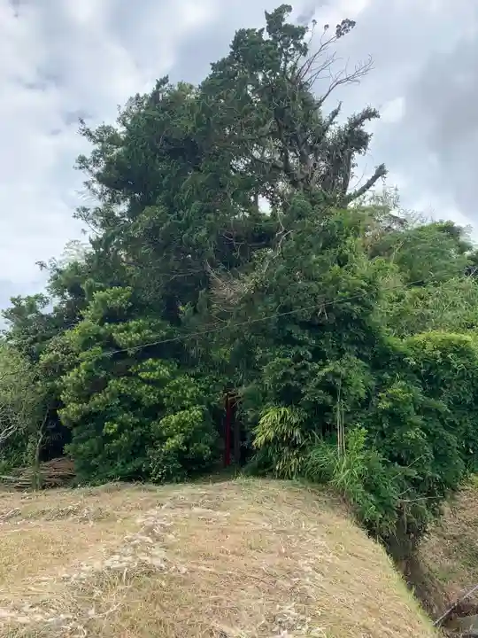 稲荷神社(千葉県)