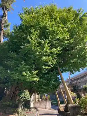五所神社(神奈川県)