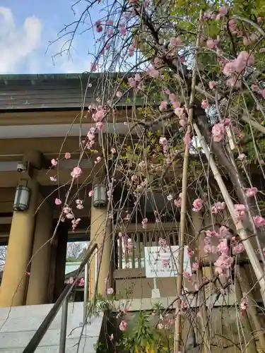 東郷神社の自然
