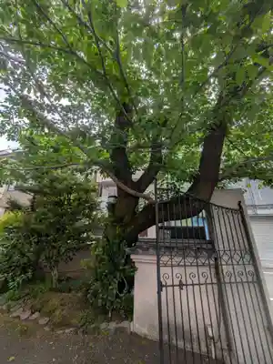 昌清寺(東京都)