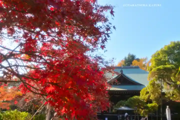 東漸寺(千葉県)