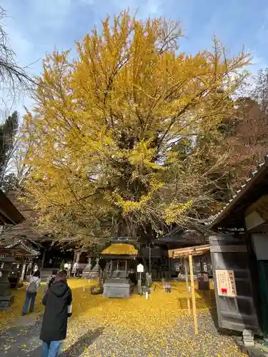 正法寺(滋賀県)