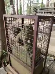 熊野神社の本殿