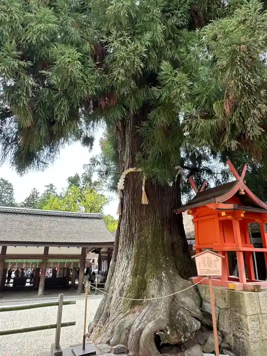 春日大社(奈良県)