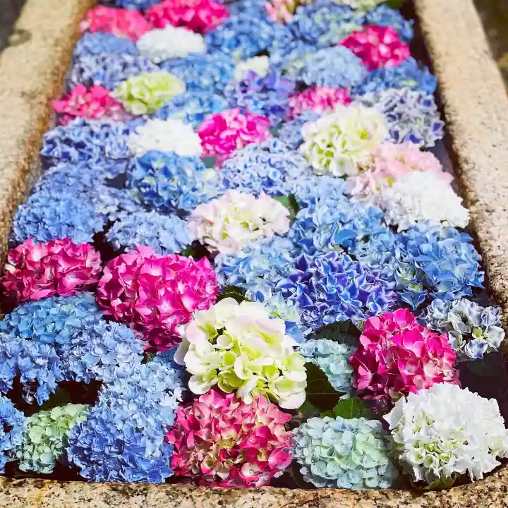 伊勢の国 四天王寺の手水舎