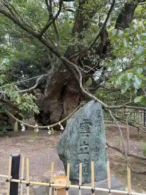 浜松八幡宮の{uncategorized: "未分類", other: "その他", undefined: "問題あり", building: "その他建物", grave: "お墓", sacred_gate: "鳥居", guardian: "狛犬", statue: "像", buddha: "仏像", history: "歴史", nature: "自然", garden: "庭園", animal: "動物", pagoda: "塔", temizu: "手水舎", mountain_gate: "山門・神門", sanctuary: "本殿・本堂", subordinate: "末社・摂社", art: "芸術", scenery: "景色", jizo: "地蔵", ema: "絵馬", goshuin: "御朱印", omikuji: "おみくじ", items: "授与品その他", amulet: "お守り", goshuincho: "御朱印帳", eats: "食事", festival: "お祭り", votive_dance: "神楽", shichigosan: "七五三参", wedding: "結婚式", experience: "体験その他", initially: "初詣", around: "周辺", anti_infection: "感染症対策"}