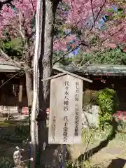 代々木八幡宮の自然