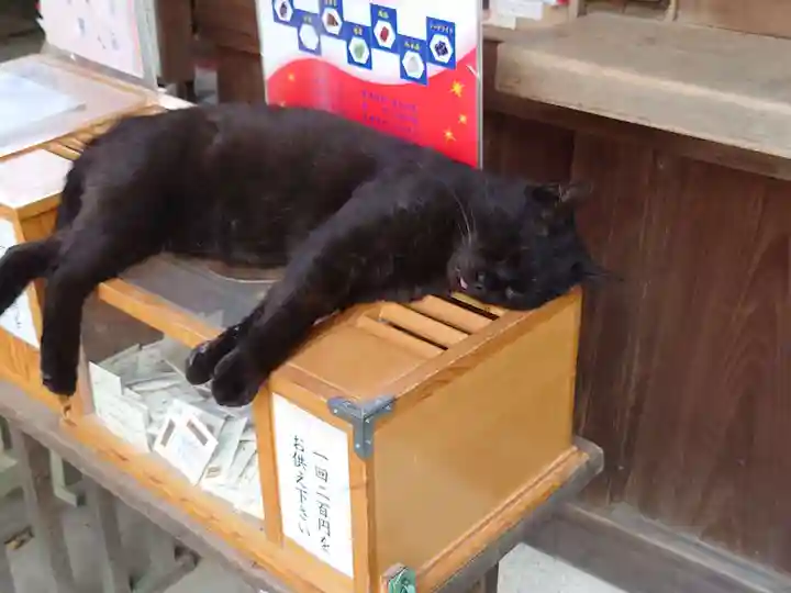 梅宮大社の動物