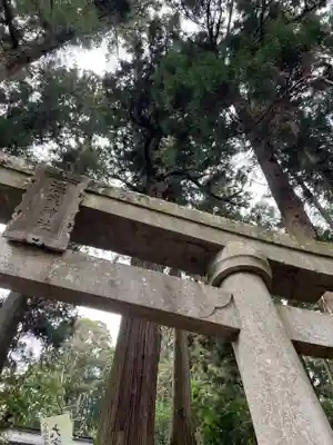 大宮温泉神社(栃木県)
